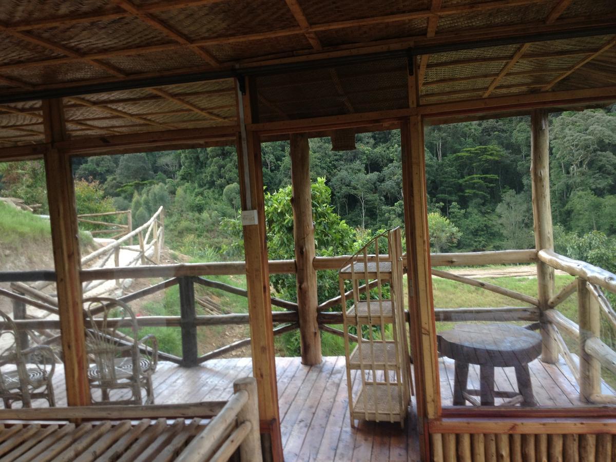 Rushaga Gorilla Lodge Bugambira 객실 사진