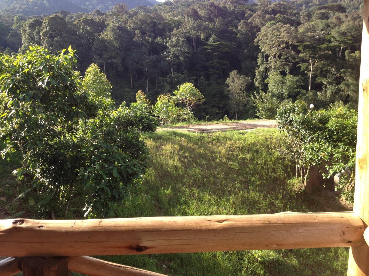 Rushaga Gorilla Lodge Bugambira 객실 사진