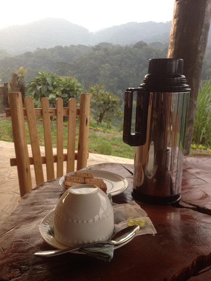 Rushaga Gorilla Lodge Bugambira 외부 사진