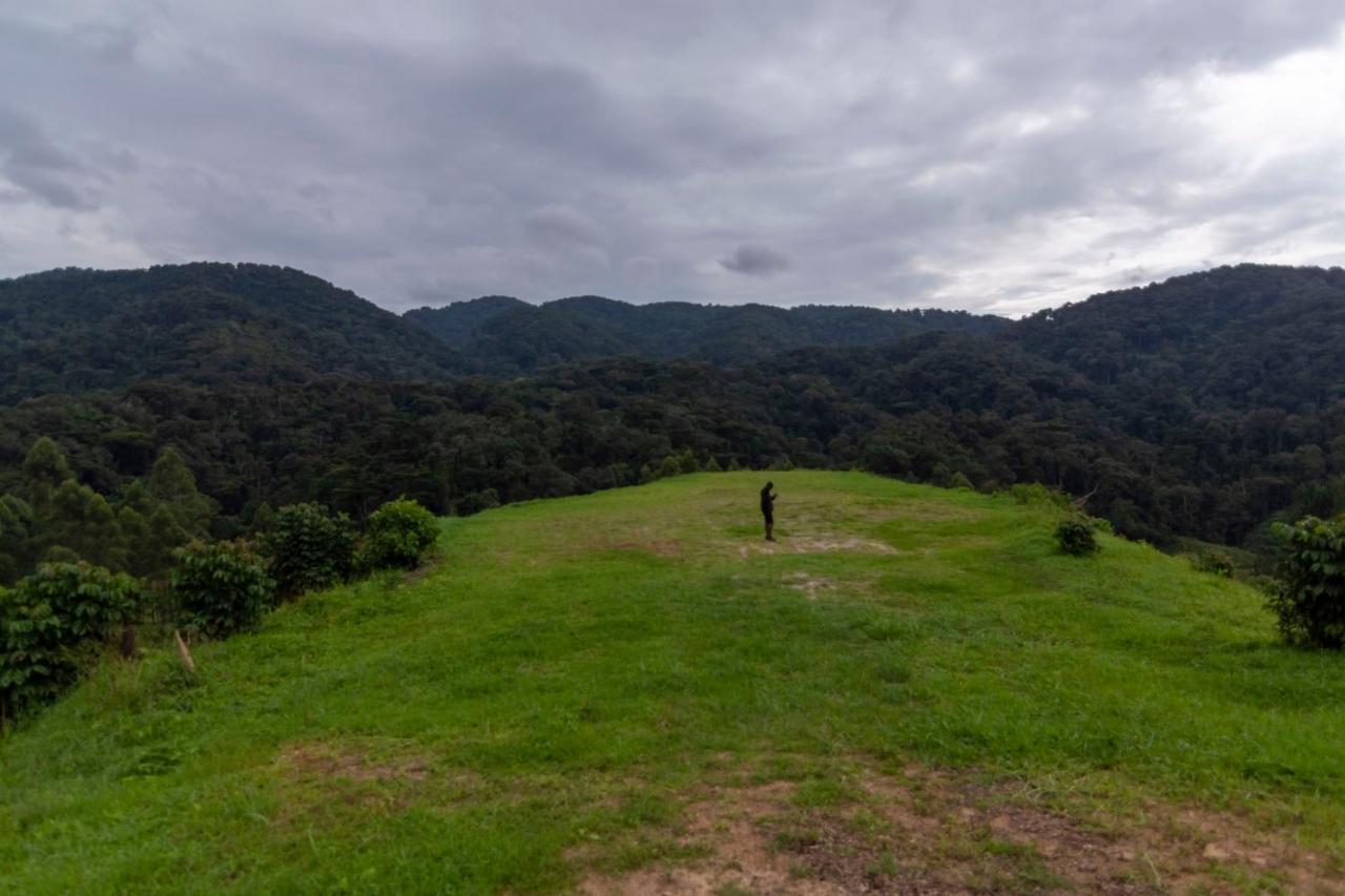 Rushaga Gorilla Lodge Bugambira 외부 사진
